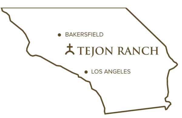 Guided Pig Hunts - Hunt at Tejon