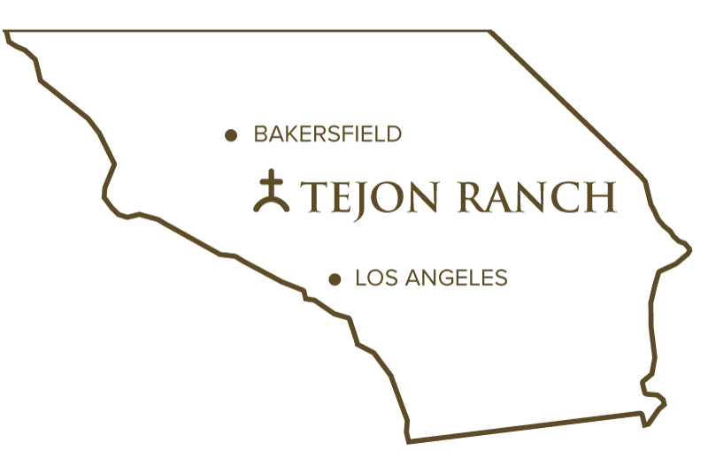 Home - Hunt at Tejon